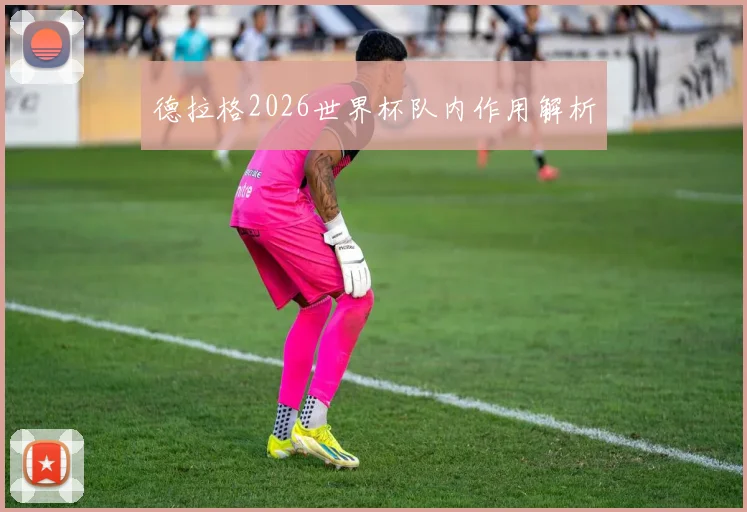 德拉格2026世界杯队内作用解析