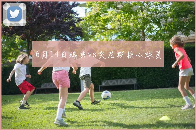 6月14日瑞典vs突尼斯核心球员