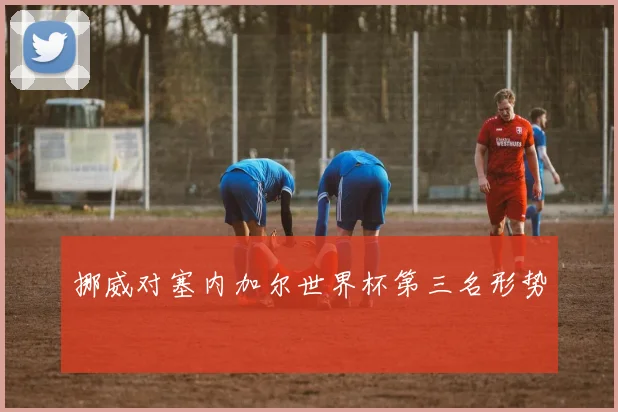 挪威对塞内加尔世界杯第三名形势