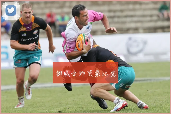 挪威会师莫桑比克