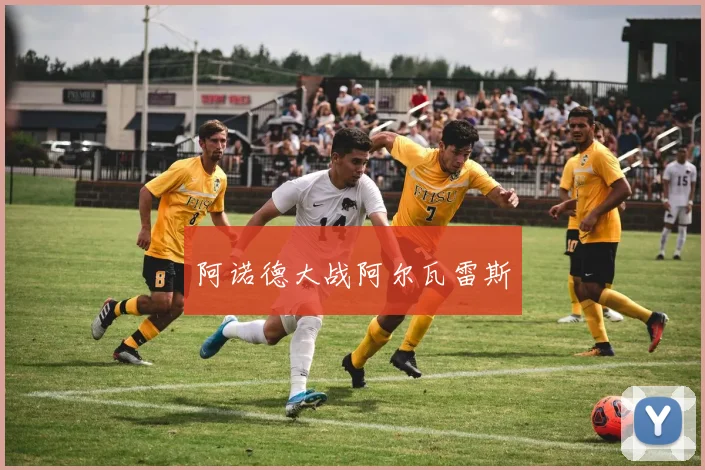 阿诺德大战阿尔瓦雷斯
