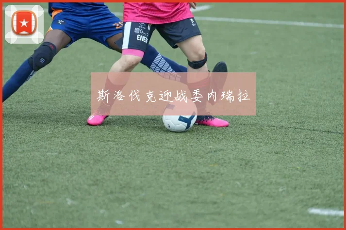 斯洛伐克迎战委内瑞拉
