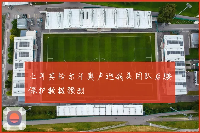土耳其恰尔汗奥卢迎战美国队后腰保护数据预测