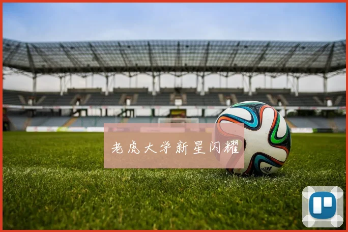 老虎大学新星闪耀