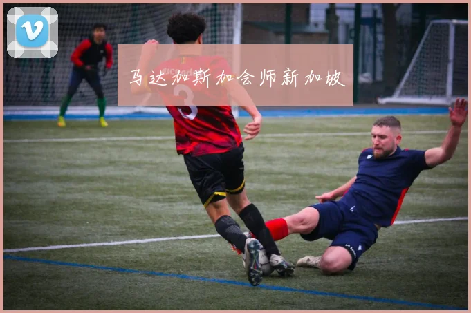马达加斯加会师新加坡