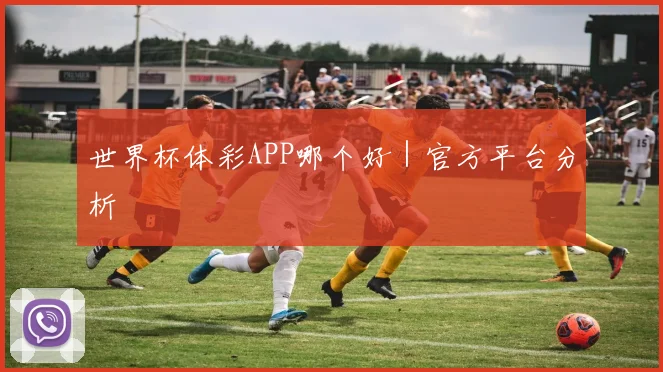 世界杯体彩APP哪个好｜官方平台分析