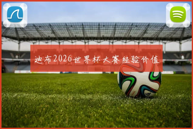 迪布2026世界杯大赛经验价值