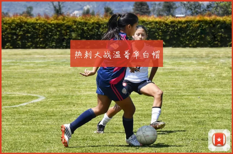 热刺大战温哥华白帽