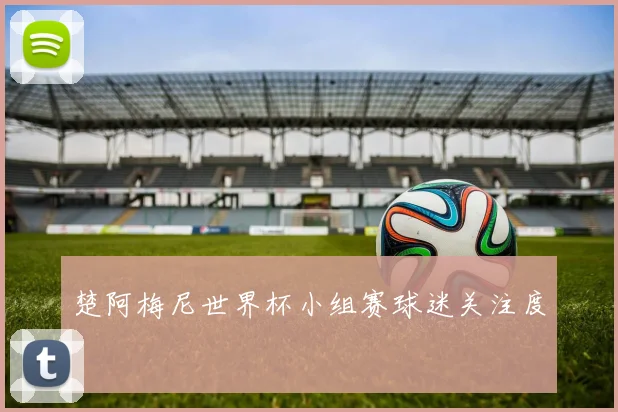 楚阿梅尼世界杯小组赛球迷关注度