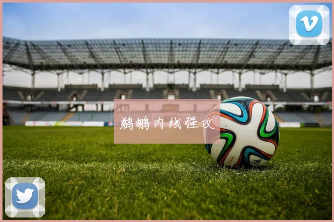 鹈鹕内线强攻