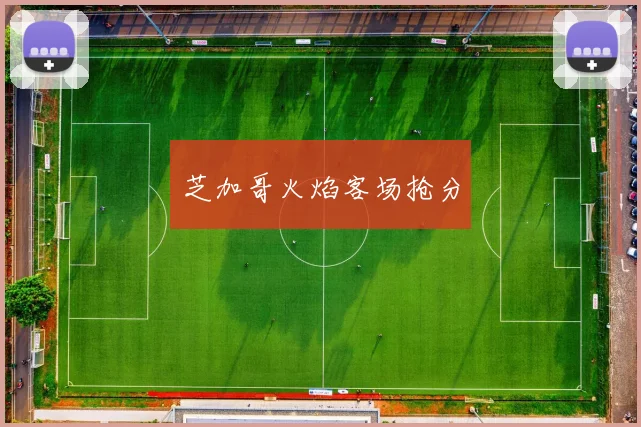 芝加哥火焰客场抢分