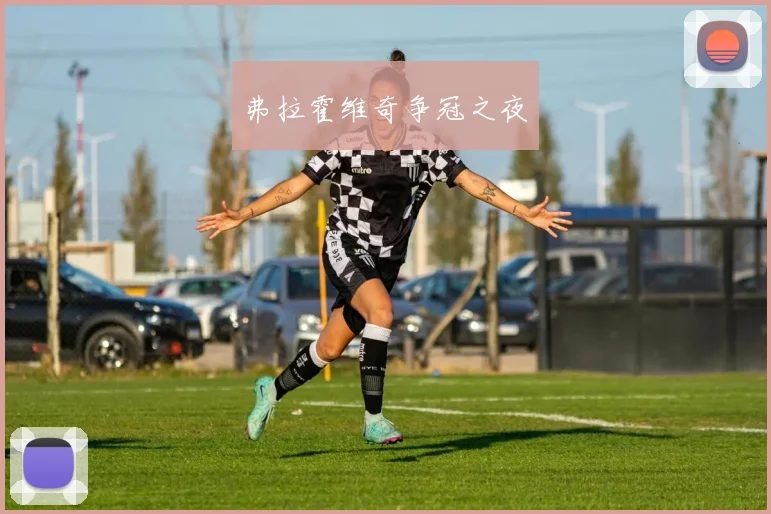 弗拉霍维奇争冠之夜
