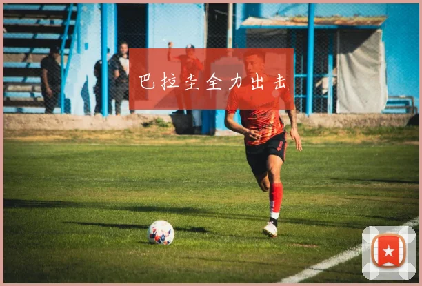 巴拉圭全力出击