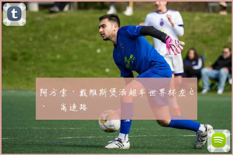 阿方索·戴维斯煲汤超车世界杯左路高速路