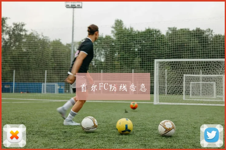 首尔FC防线告急