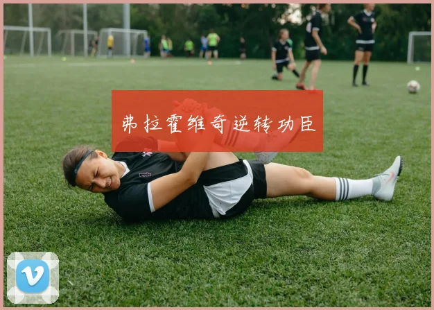 弗拉霍维奇逆转功臣