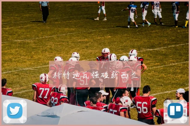 科特迪瓦强碰新西兰