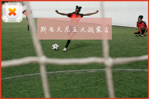 斯洛文尼亚大战蒙古