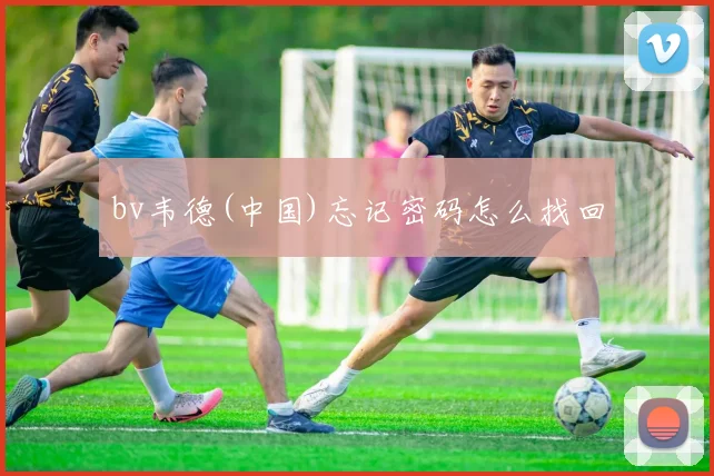 bv韦德(中国)忘记密码怎么找回